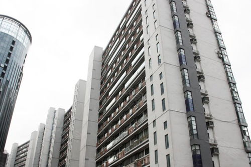 上海青年城優(yōu)點 不足,上海青年城怎么樣,上海青年城周邊房產中介經紀人評價