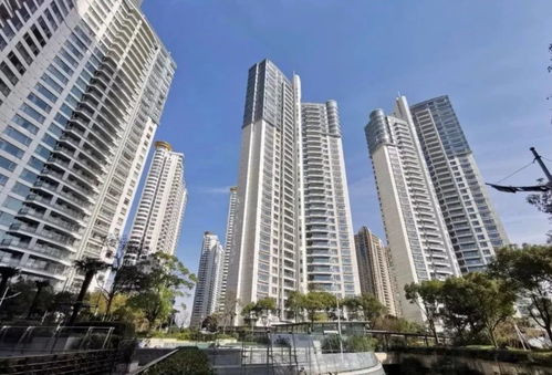 誰站在陸家嘴豪宅鄙視鏈頂端 湯臣一品VS中糧海景壹號