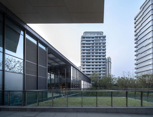 宋清輝 品牌聲譽(yù)是公司發(fā)展基石 被消費(fèi)者質(zhì)疑將傷害產(chǎn)品競爭力