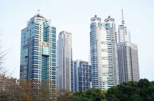 上海萬人搶房變鬧劇 超4億元房產(chǎn)無法過戶！購(gòu)房者需謹(jǐn)記四件事