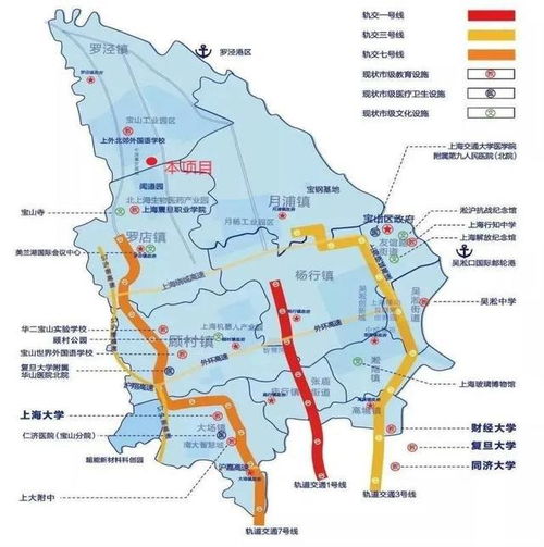 上海市寶山區(qū)潘涇路工業(yè)用地和廠房轉(zhuǎn)讓項(xiàng)目 推動(dòng)產(chǎn)業(yè)升級(jí)與房地產(chǎn)開發(fā)新機(jī)遇